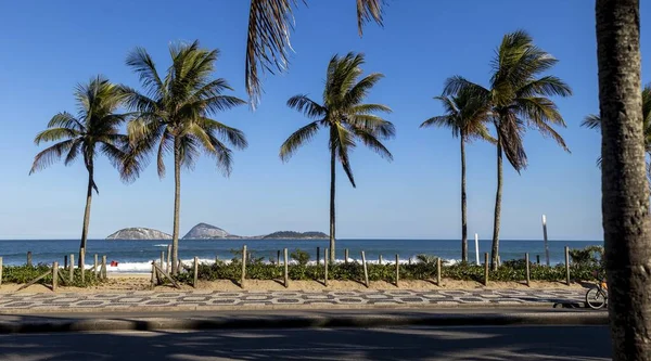 Palm Trees Boulevard Ipanema Portuguese Tile Pavement Foreground Beach Ocean — Stock Photo, Image