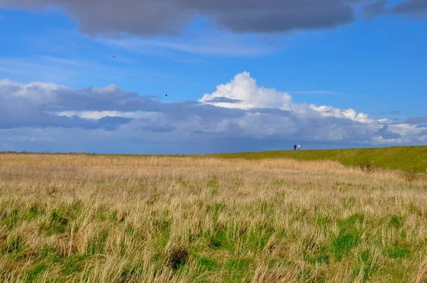 Panoramic Shot Large Field Beautiful Sky White Fluffy Clouds — Stock Photo, Image