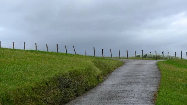 Een Smal Pad Een Groen Grasveld Omringd Door Een Hek — Stockfoto