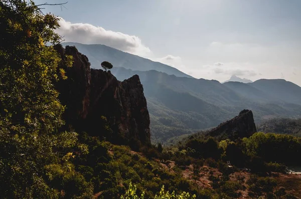 Eine Nahaufnahme Einer Klippe Umgeben Von Viel Grün Vor Nebligen — Stockfoto