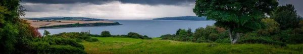 Панорамный Снимок Реки Окруженной Зеленью Облачным Небом — стоковое фото