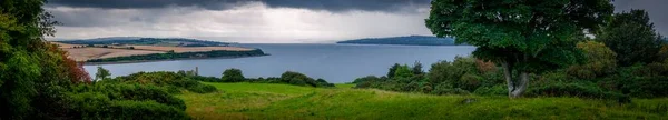 Ein Panoramabild Eines Flusses Grünen Unter Wolkenverhangenem Himmel — Stockfoto