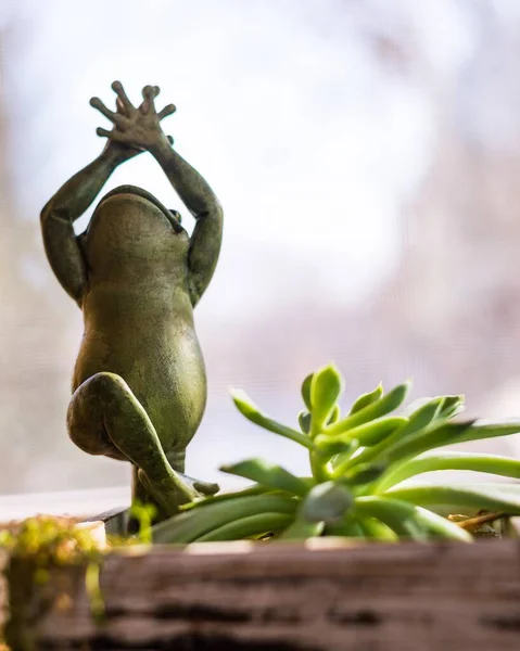 Vertical Shot Frog Standing Its Hands Put Together Air Green — Stock Photo, Image