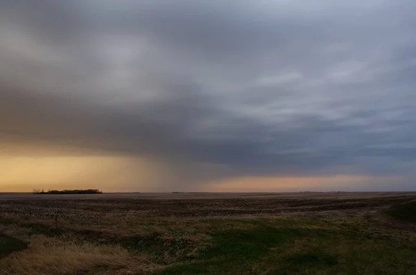 曇り空と雨の空の下 緑に覆われた長い畑 — ストック写真