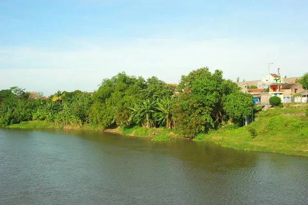 Een Antenne Opname Van Een Rivier Strand Bedekt Met Groen — Stockfoto