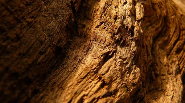 Een Close Shot Van Textuur Van Een Verweerd Hout — Stockfoto