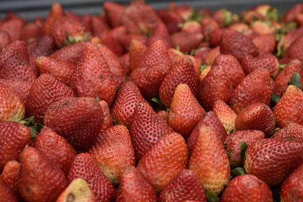 Nahaufnahme Eines Haufens Frischer Erdbeeren — Stockfoto