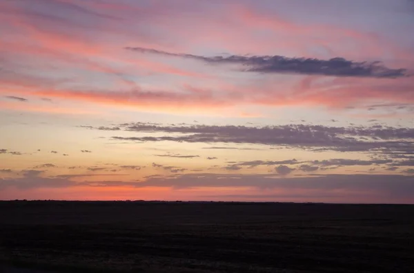 Campo Grama Brilhando Sob Céu Nublado Rosa — Fotografia de Stock