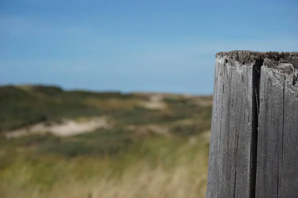 Selective Focus Shot Old Wooden Poll Field Fresh Dried Grass — Stock Photo, Image