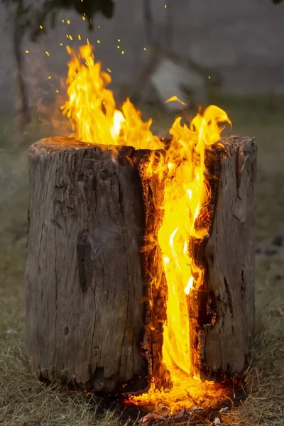 Immagine Verticale Registro Fiamme Che Crea Uno Sfondo Infuocato — Foto Stock