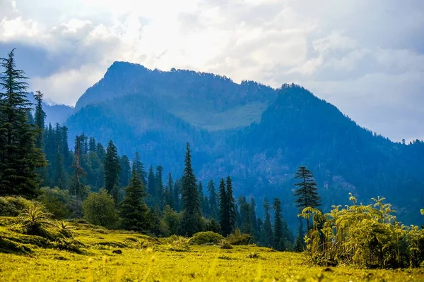 Una Vista Del Paisaje Los Campos Las Montañas Manali India —  Fotos de Stock