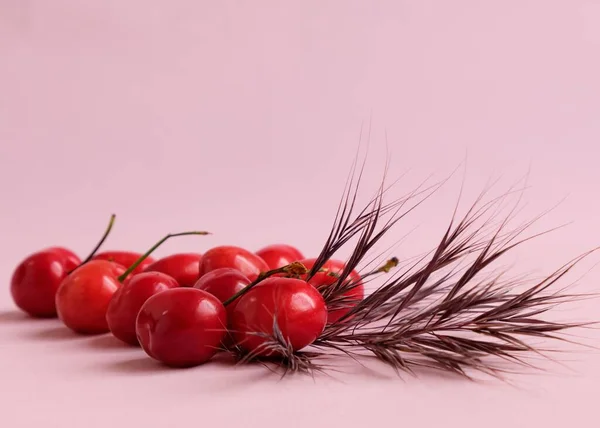 Closeup Shot Some Delicious Fresh Cherries Exotic Leaves Pink Surface — Stock Photo, Image