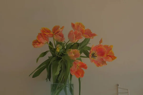 Egy Közeli Felvétel Gyönyörű Csokor Narancssárga Tulipánvirágokról Egy Üvegvázában — Stock Fotó
