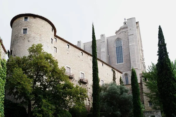 Uno Splendido Scenario Antiche Cattedrali Storiche Girona Spagna — Foto Stock