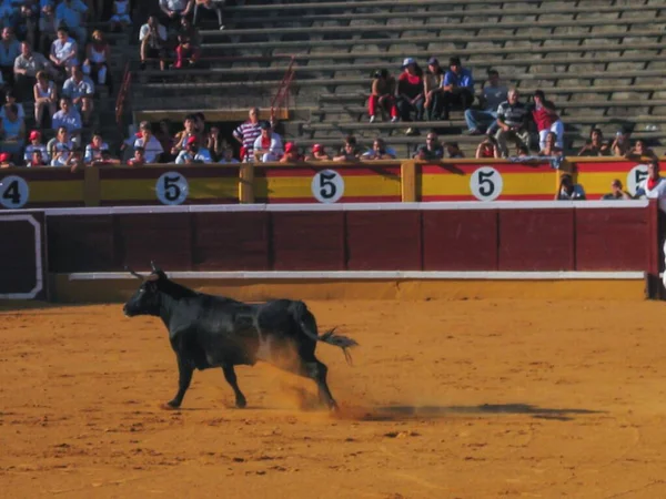 Παμπλονα Ισπανια Ιουλ 2019 San Fermin Άνθρωποι Στην Παμπλόνα Της — Φωτογραφία Αρχείου