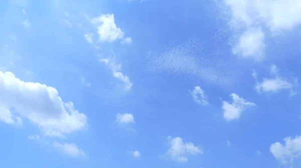 Céu Azul Brilhante Com Pequenas Nuvens Irregulares Durante Dia — Fotografia de Stock