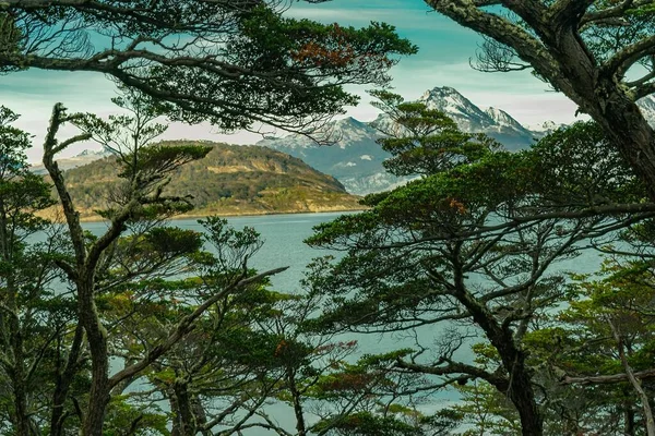 Ein Schöner Blick Auf Einen See Umgeben Von Bergen Und — Stockfoto