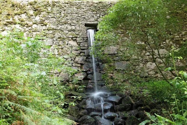一幅幅美丽的风景 是由树木环绕的石墙上掉下来的小瀑布拍成的 — 图库照片