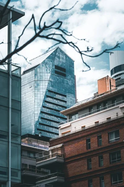 Buenos Aires Argentina Enero 2019 Algunos Edificios Detrás Árbol Buenos — Foto de Stock