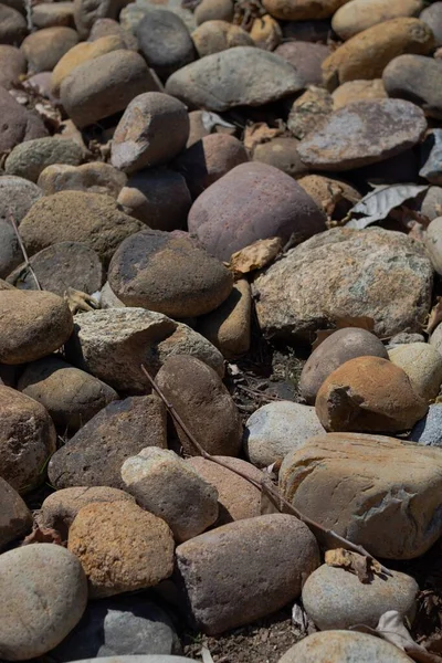 Вертикальный Кадр Камней Сухих Листьев Земле — стоковое фото