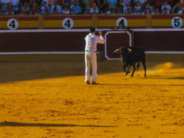 Pamplona Hiszpania Lip 2019 San Fermin Ludzie Pampelunie Hiszpania Podczas — Zdjęcie stockowe