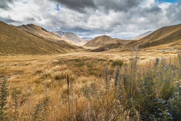 Una Hermosa Vista Del Paso Lindis Isla Sur Nueva Zelanda —  Fotos de Stock