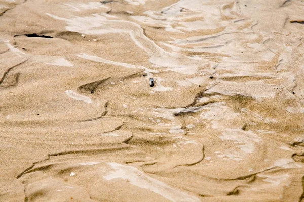 Primo Piano Una Struttura Paesaggio Umido Sabbia — Foto Stock