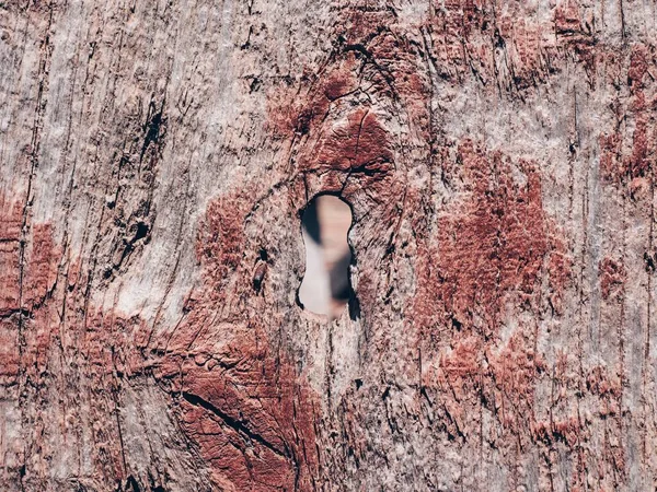 Крупним Планом Знімок Іржавої Дерев Яної Поверхні Відмінно Підходить Фону — стокове фото
