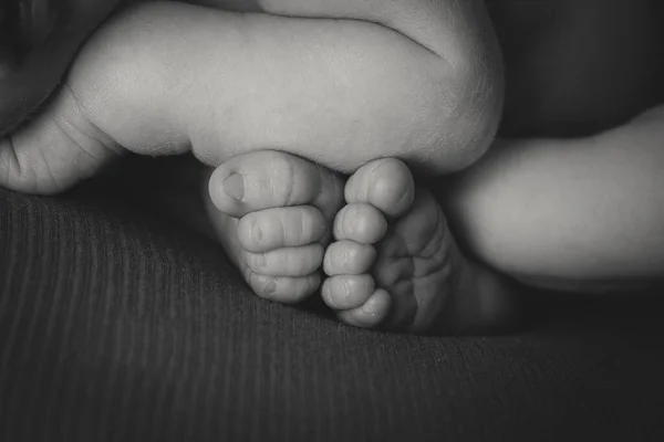 Graustufenaufnahme Eines Niedlichen Babys Mit Pummeligen Armen Und Beinen Das — Stockfoto