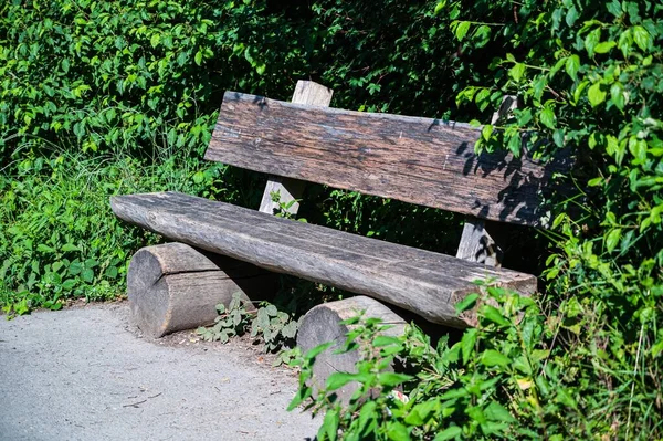 緑の木の後ろに木製のベンチのクローズアップショット — ストック写真