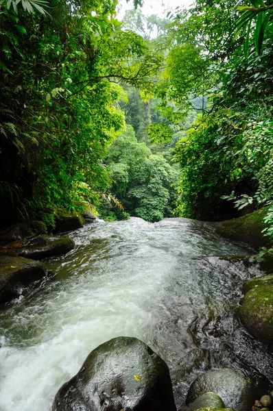 Belo Rio Com Rochas Negras Passando Pela Selva Indonésia Para — Fotografia de Stock