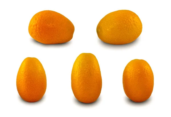 Primer Plano Cinco Frutos Kumquat Aislados Sobre Fondo Blanco — Foto de Stock