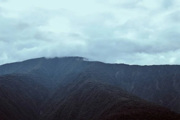Alte Montagne Coperte Verdi Scintillanti Sotto Cielo Nuvoloso — Foto Stock