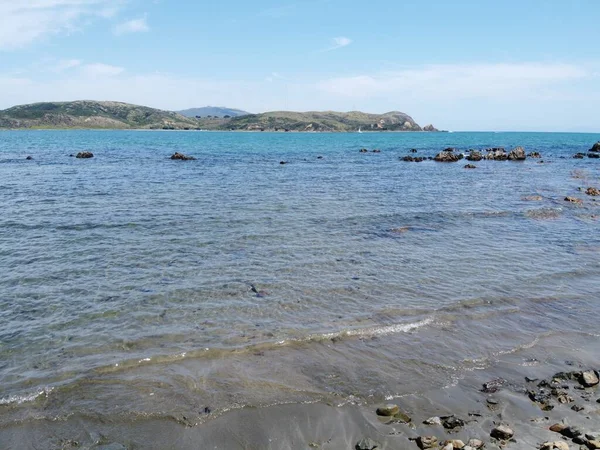 Wellington Yeni Zelanda Daki Makara Sahili Büyüleyici Bir Manzara — Stok fotoğraf