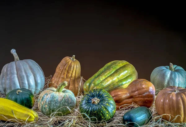 Gros Plan Citrouilles Peintes Colorées Sous Les Lumières Sur Fond — Photo