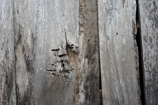 Натуральний Дерев Яний Малюнок Текстури Тла — стокове фото