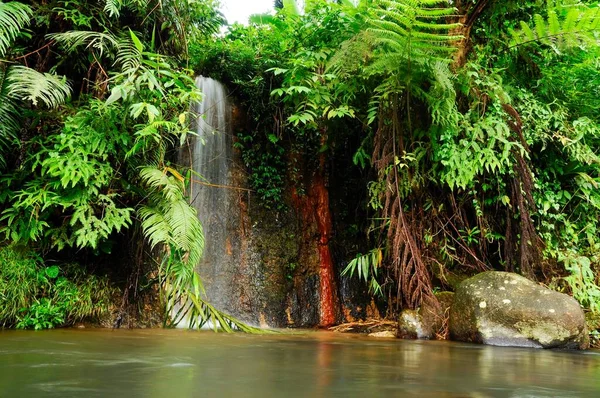 Nahaufnahme Eines Wasserfalls Einem Dschungel Der Nähe Des Mount Gede — Stockfoto