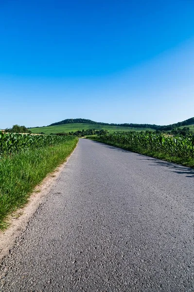Droga Otoczona Zielonym Polem Pod Błękitnym Niebem — Zdjęcie stockowe