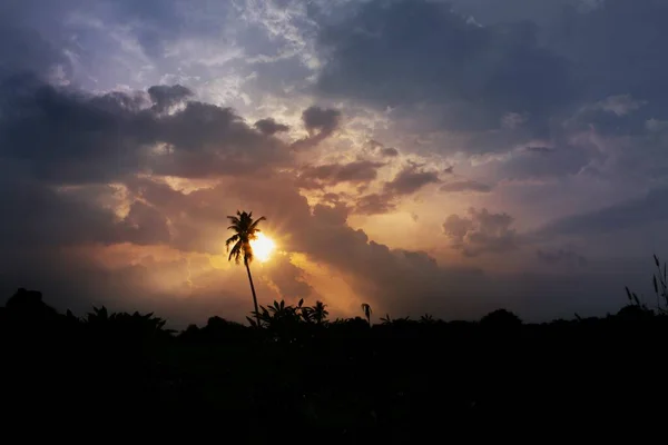 Ένα Μαγευτικό Ηλιοβασίλεμα Δημιουργώντας Σιλουέτες Φυτών Και Δέντρων Ενάντια Ένα — Φωτογραφία Αρχείου
