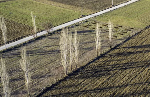 Luftaufnahme Einer Landschaft Mit Bäumen Und Einer Leeren Straße — Stockfoto