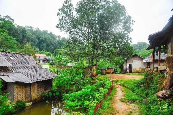 在一个被丛林包围的贫穷的村子里 一张美丽的农村公路照片 — 图库照片