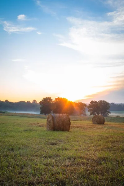 Ett Grönt Gräsplan Med Mycket Vid Solnedgången Sussex County — Stockfoto