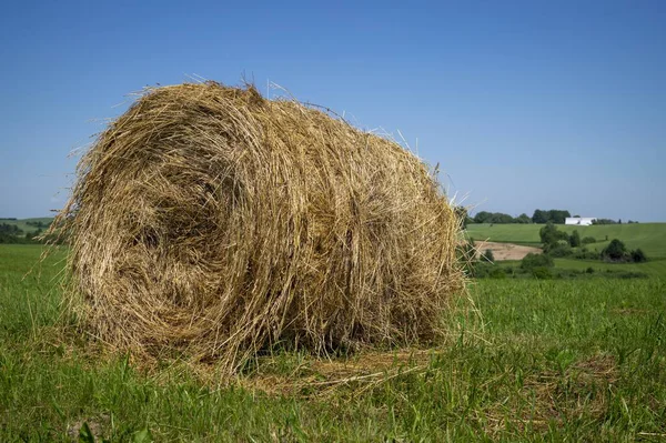 Een Gras Hooi Een Groen Grasland Met Bomen Een Achtergrond — Stockfoto