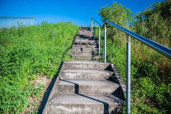 Las Escaleras Rodeadas Hierba Verde Árboles —  Fotos de Stock