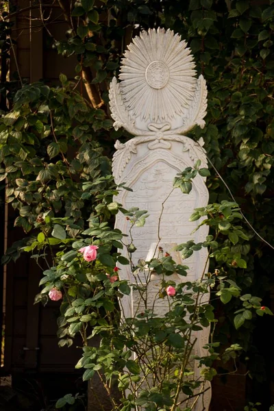 Tiro Vertical Rosas Rosa Crescendo Torno Uma Escultura Branca — Fotografia de Stock