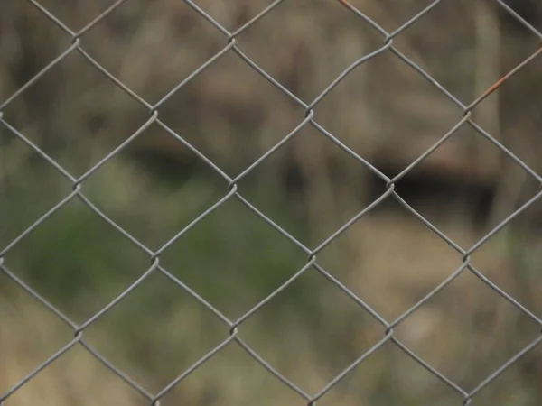 背景に緑の金属製のフェンスの選択的フォーカスショット — ストック写真