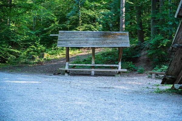 Bench Surrounded Trees Park — Stock Photo, Image