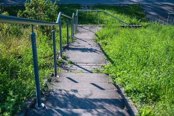 Die Treppen Die Vom Grünen Gras Umgeben Sind — Stockfoto