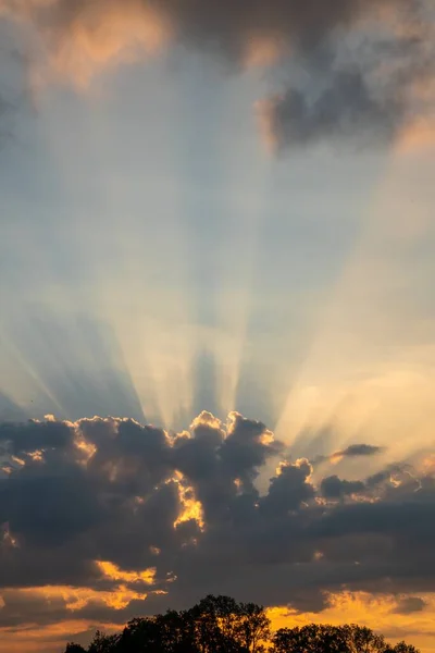 Egy Függőleges Lövés Gyönyörű Naplementében Nap Sugaraival Felhők Mögött — Stock Fotó