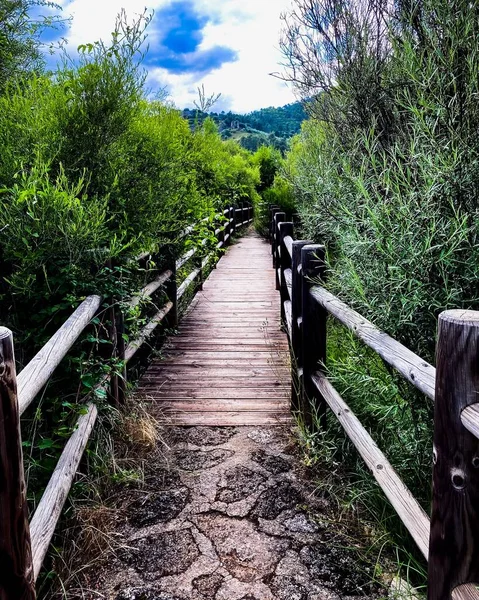 斯洛文尼亚特里格拉夫国家公园一条有木制栏杆的狭窄小径的美丽的垂直景观 — 图库照片